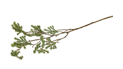 Silkeblomst Krypto. L:60 cm Grøn/hvid