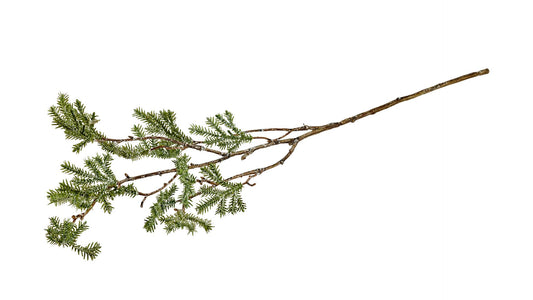 Silkeblomst Krypto. L:60 cm Grøn/hvid