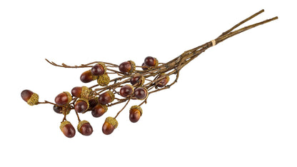 Silkeblomst Acorn L:56 cm Grøn/Brun
