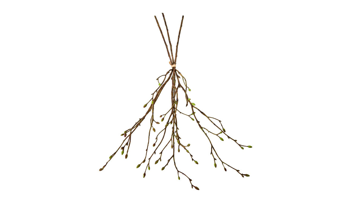 Silkeblomst Gren/knop H:56 cm