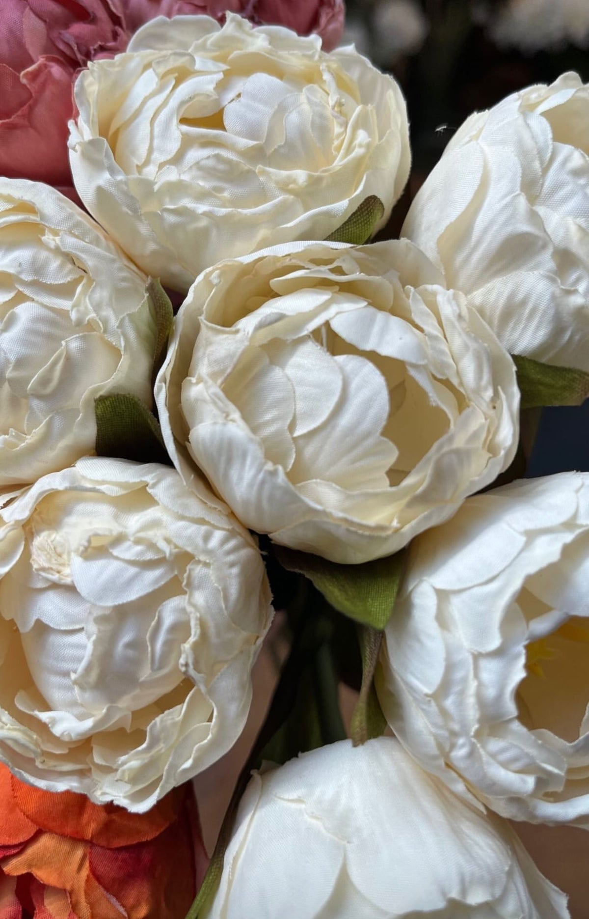 Tulipan bundt 7stk Creme