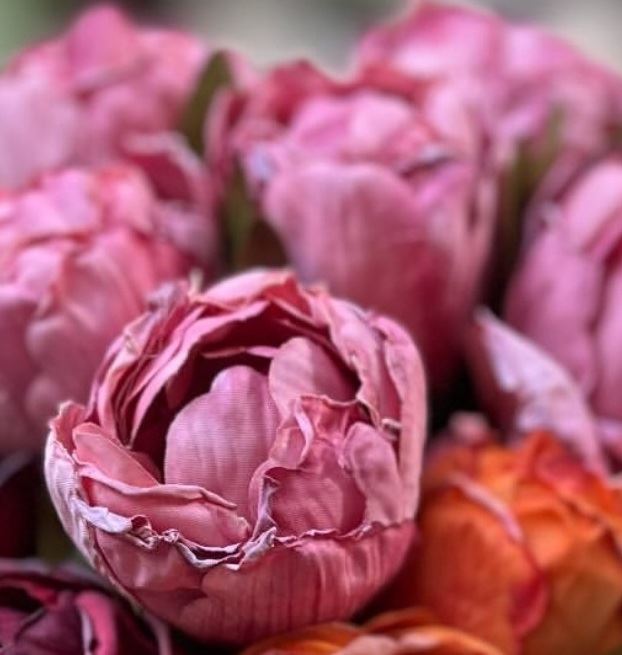 Tulipan bundt 7stk pink