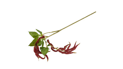 Silkeblomst Raklegren 90 cm Bordeaux