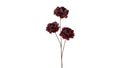 Silkeblomst Pæon 86 cm Bordeaux 3 gr.
