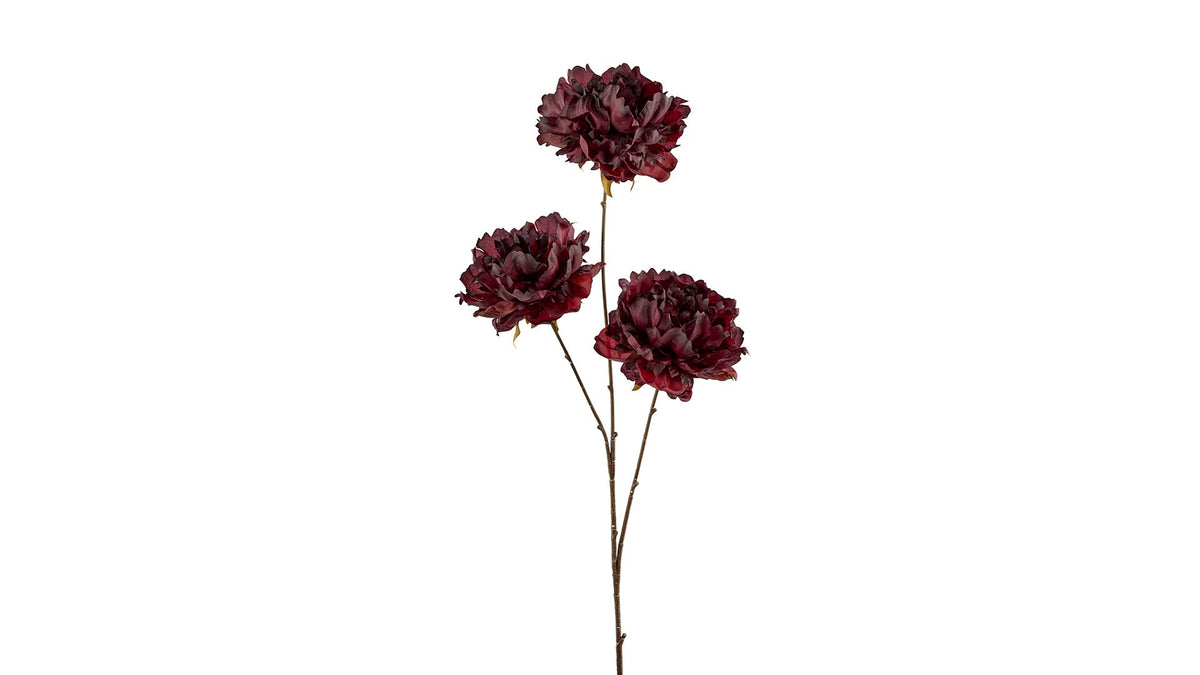 Silkeblomst Pæon 86 cm Bordeaux 3 gr.