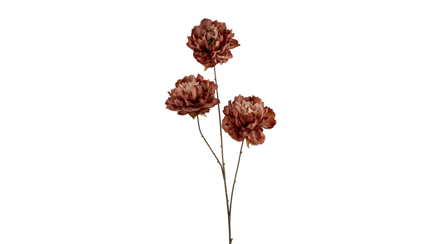 Silkeblomst Pæon 86 cm Gylden 3 gr.