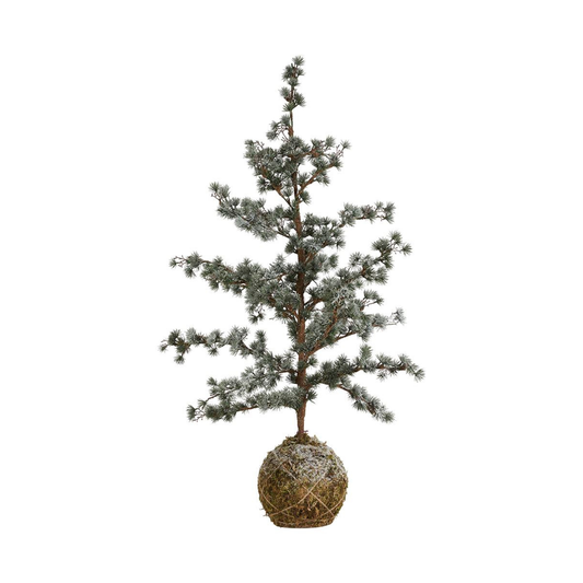 Cedertræ/Moskugle 200cm grøn/is