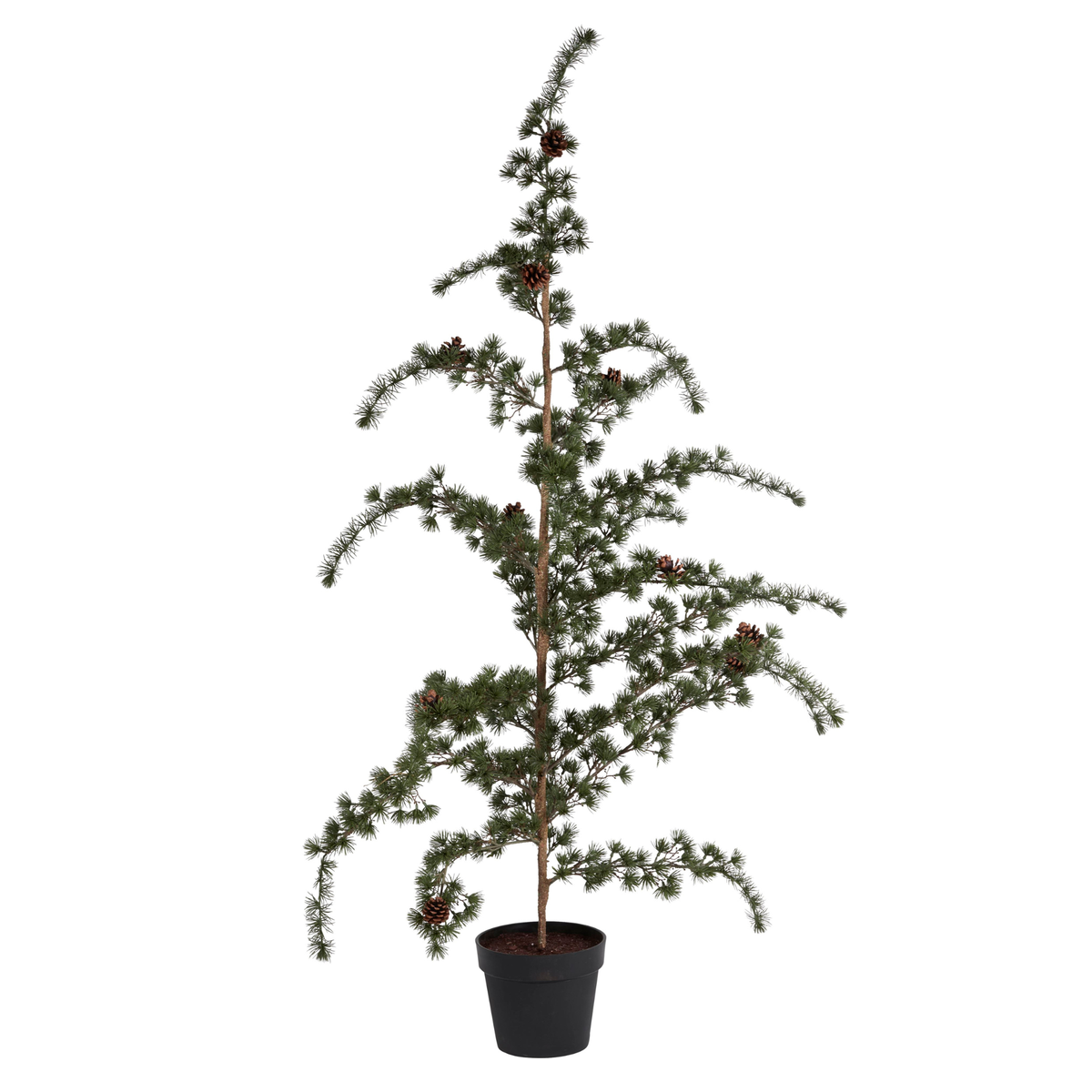 Cedertræ/pot 155cm grøn