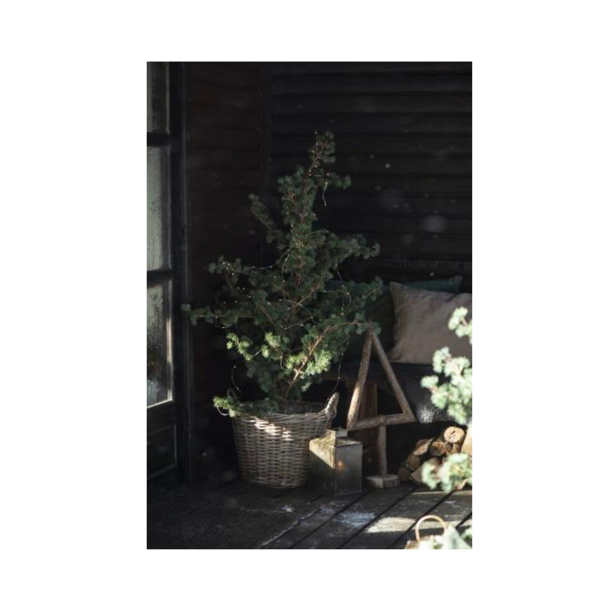 Cedertræ m/Jutefod - Den Gamle Mølle
