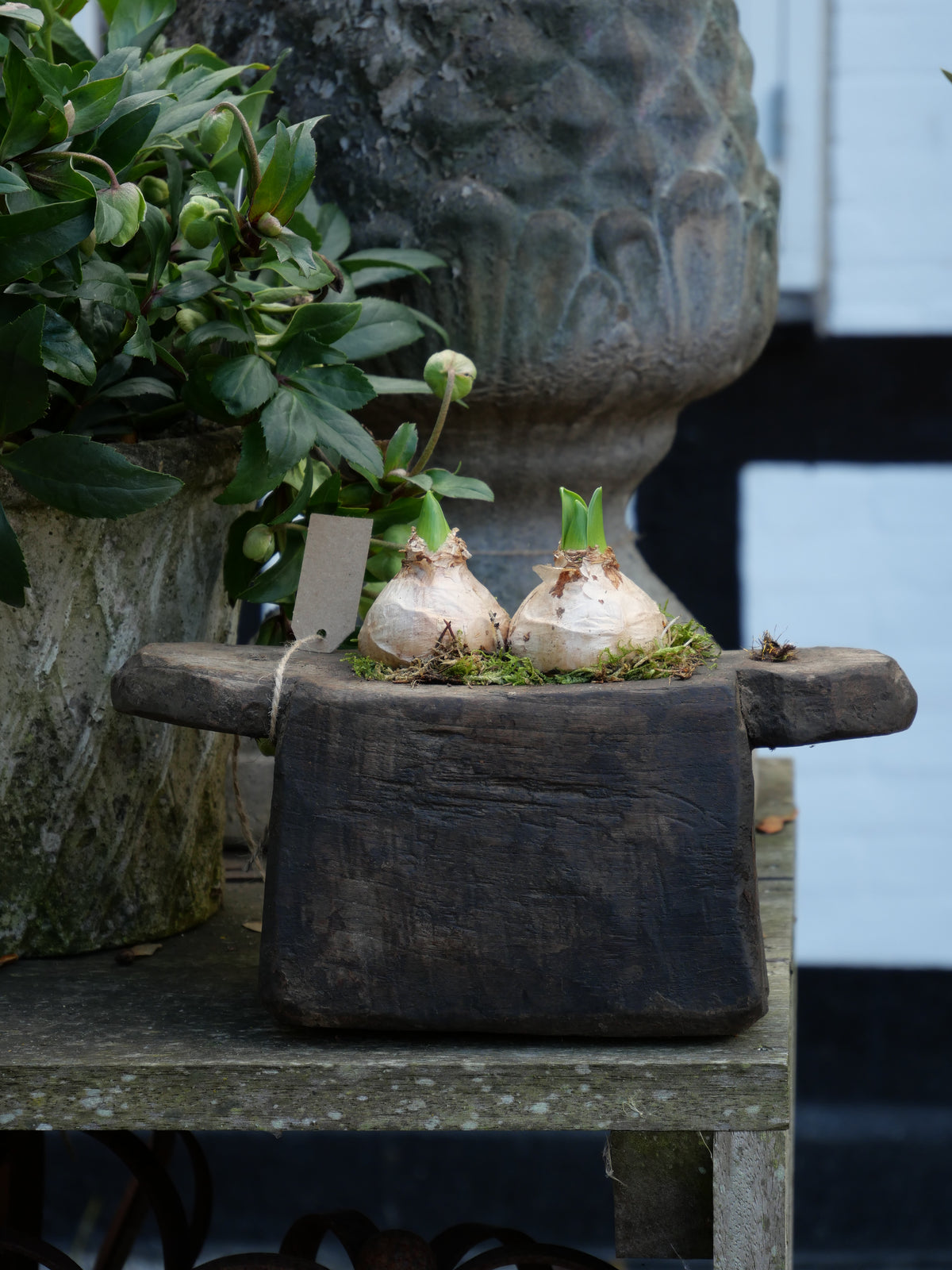 Wooden oil pot 225