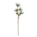 Pine Branch Ivy