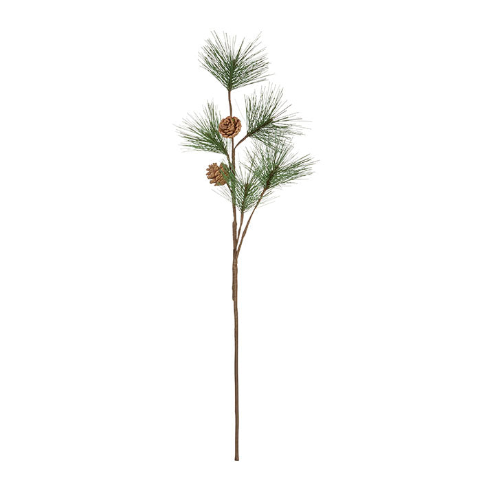 Pine Branch Ivy