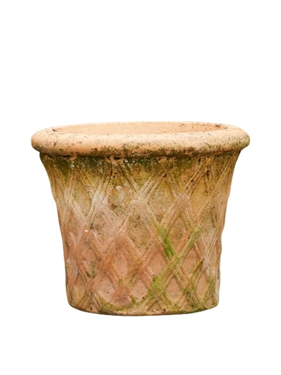 Harlequin Terracotta