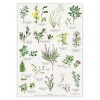Plakat med Naturmotiver