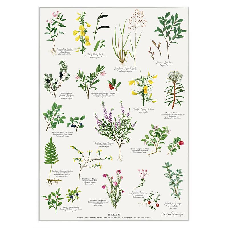 Plakat med Naturmotiver