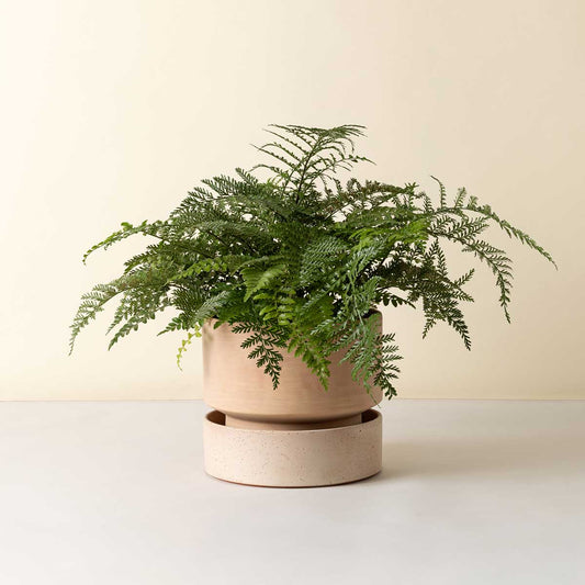 Hoff ø40 cm