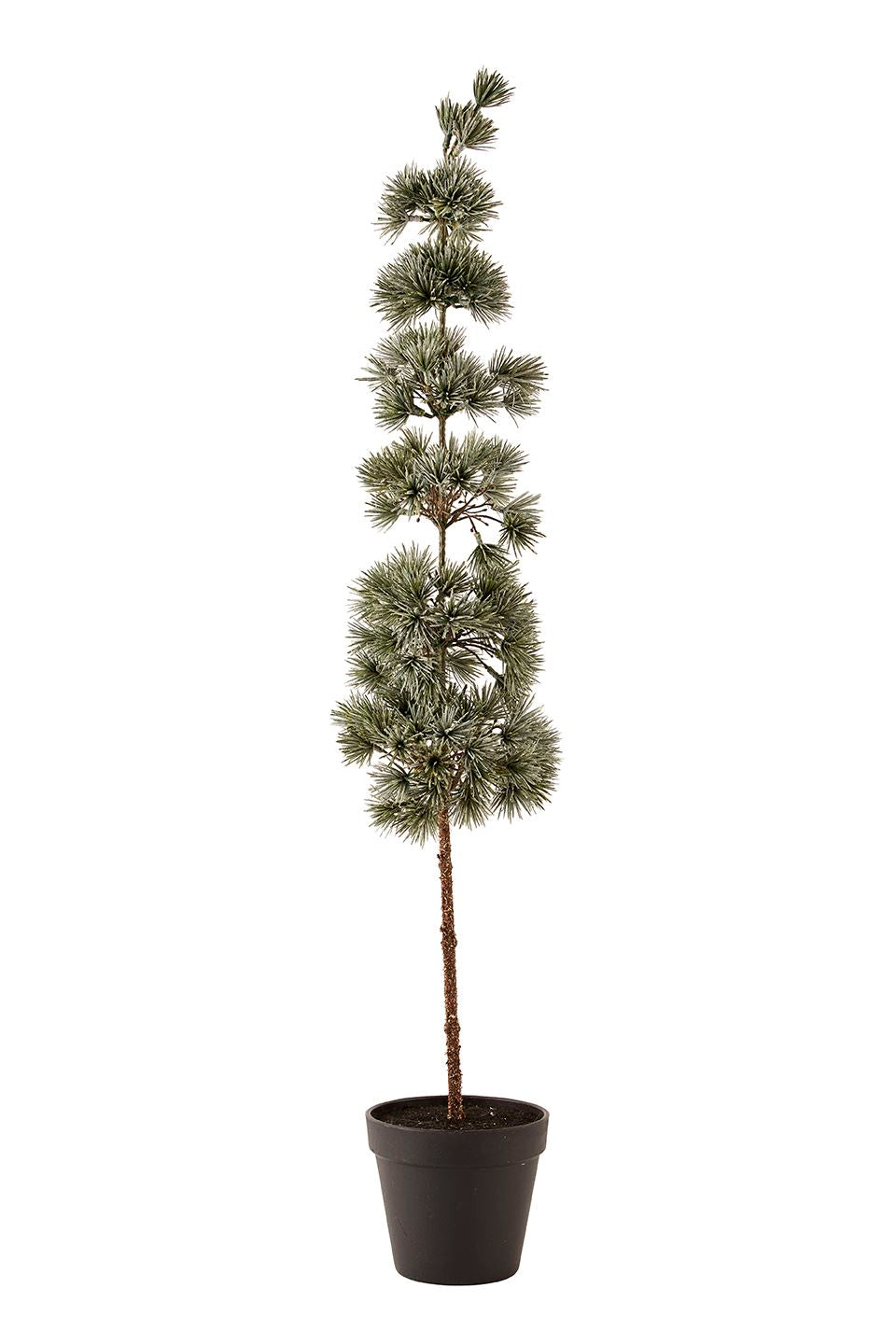 Træ Pine H80cm grøn/is