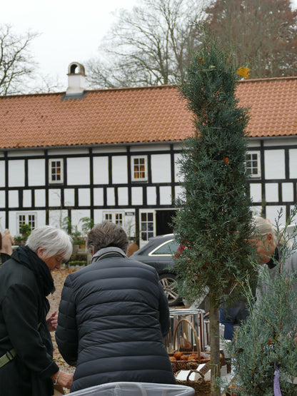 Julehygge på møllen 21. & 22. november