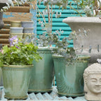 Lacepot Green