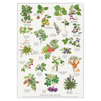 Plakat med Naturmotiver