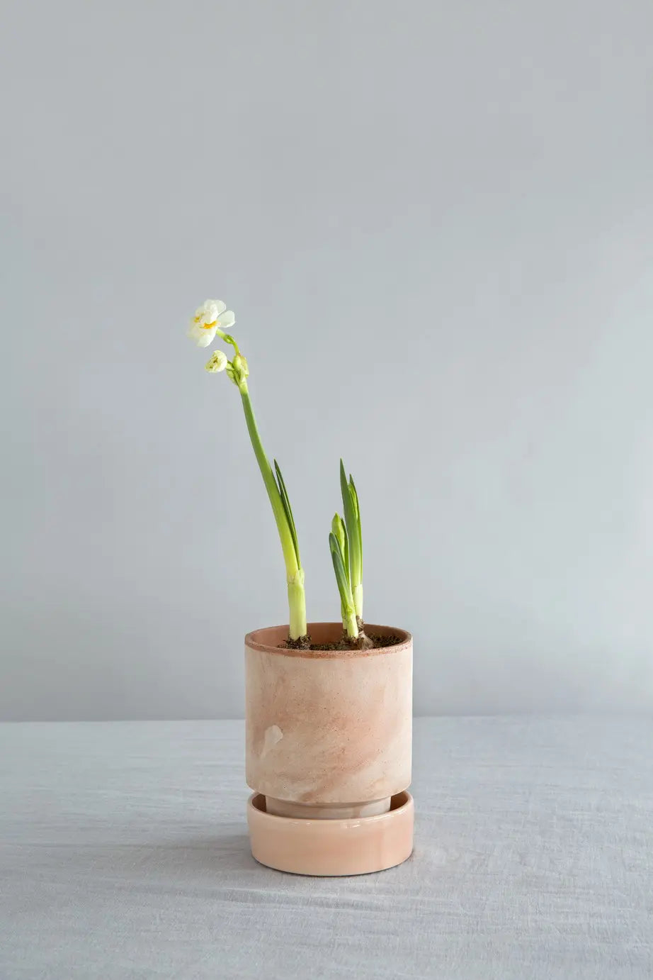 Hoff ø16 cm
