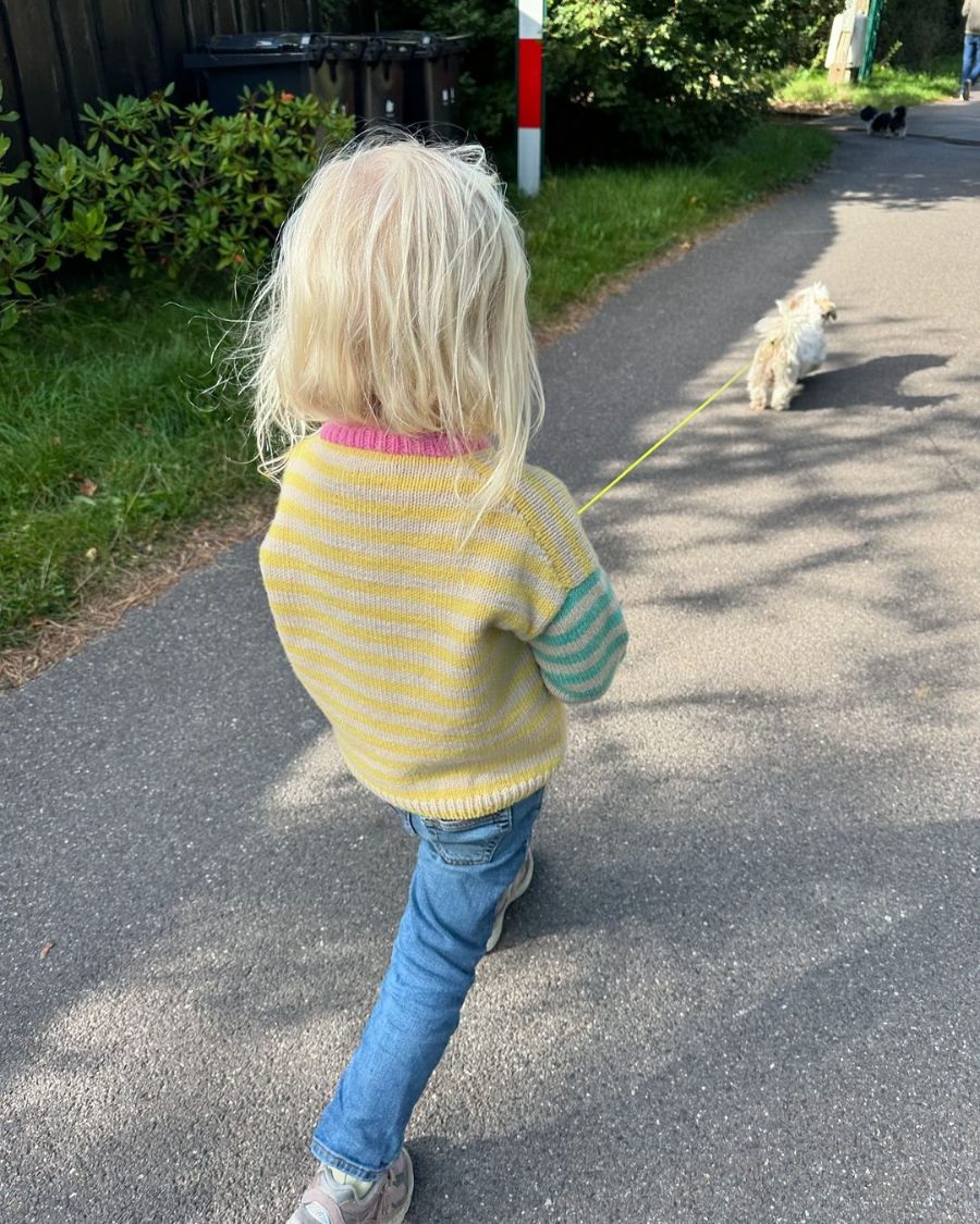 Holger Sweater - Strikkeopskrift