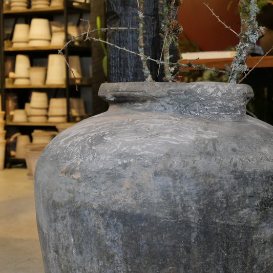 Indisk lerkrukke kæmpe