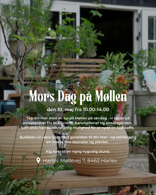 Mors dag på Møllen
