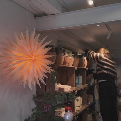 Liz Papirstjerne - Pink