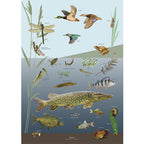 Plakat med Naturmotiver