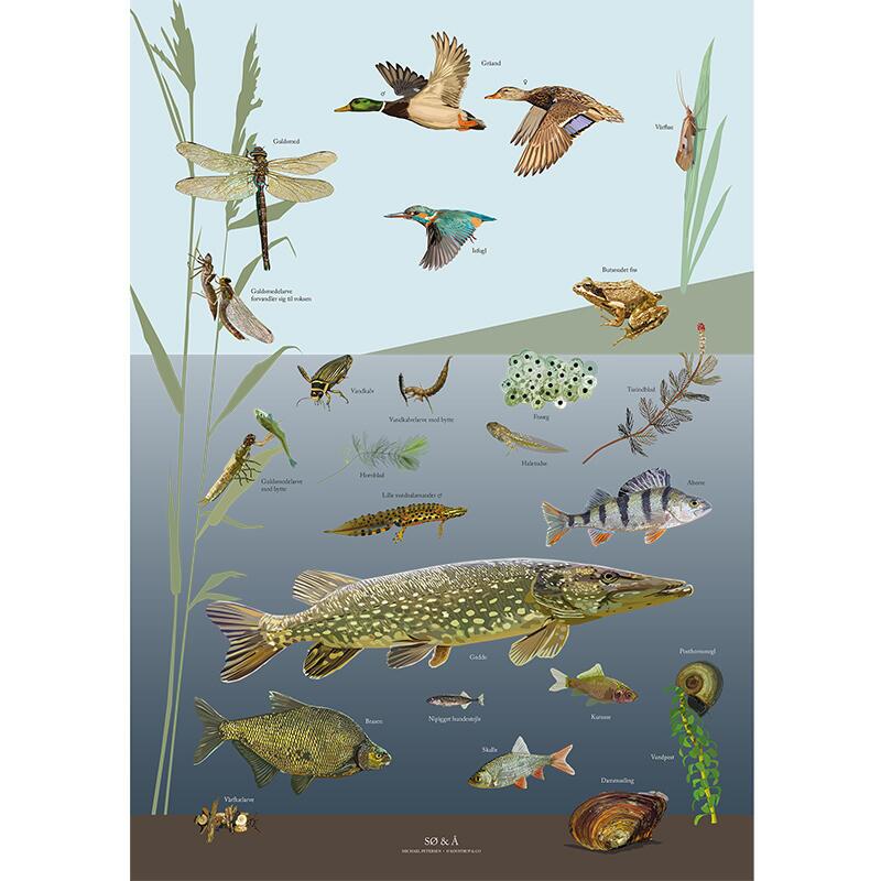 Plakat med Naturmotiver