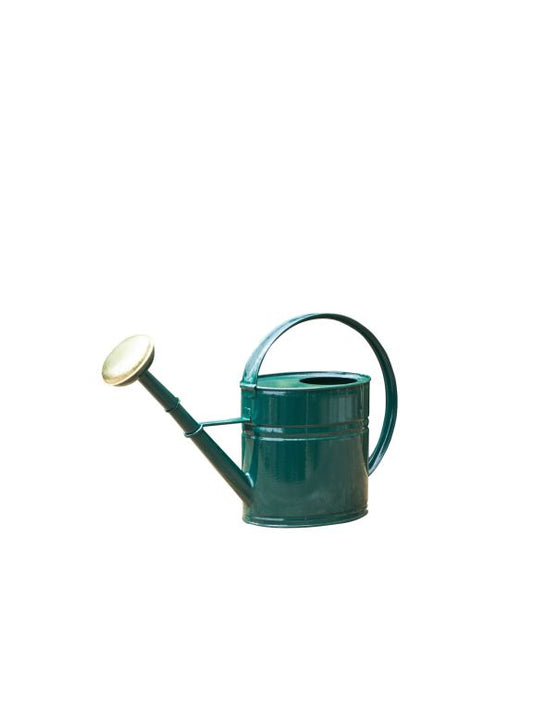 Anika Vandkande Dark Green