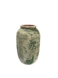 Otilia Moss Green