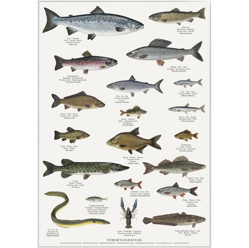 Plakat med Naturmotiver