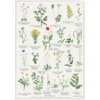 Plakat med Naturmotiver