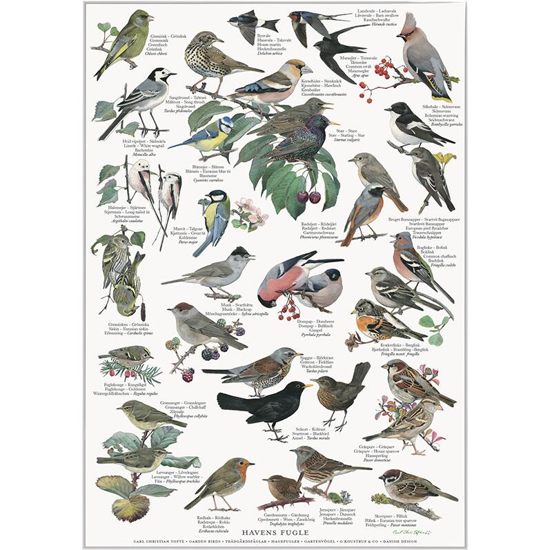 Plakat med Naturmotiver