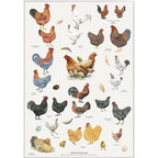 Plakat med Naturmotiver