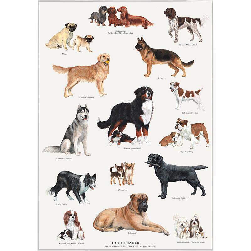 Plakat med Naturmotiver
