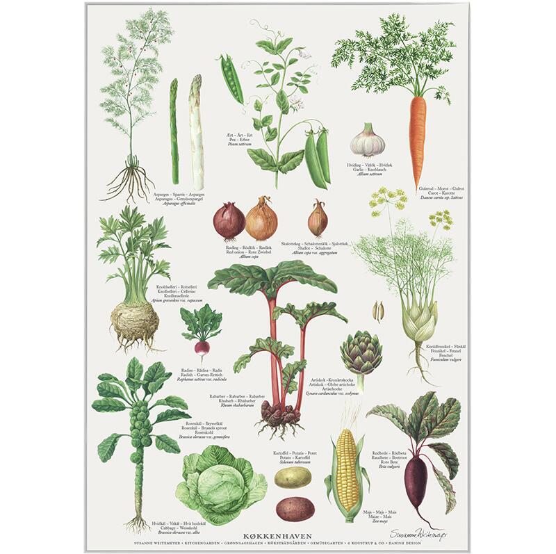 Plakat med Naturmotiver