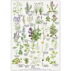 Plakat med Naturmotiver