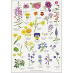 Plakat med Naturmotiver