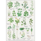 Plakat med Naturmotiver