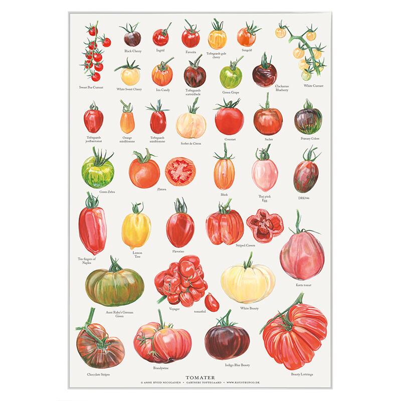 Plakat med Naturmotiver