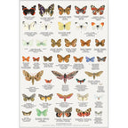 Plakat med Naturmotiver