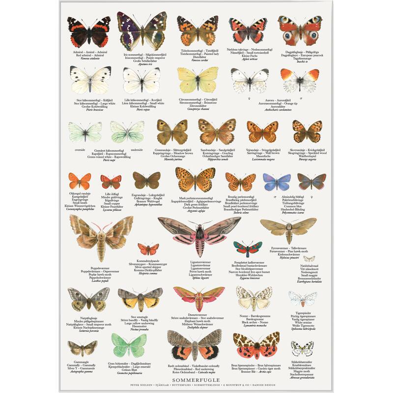 Plakat med Naturmotiver