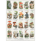 Plakat med Naturmotiver