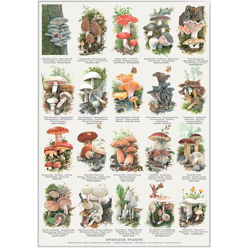 Plakat med Naturmotiver